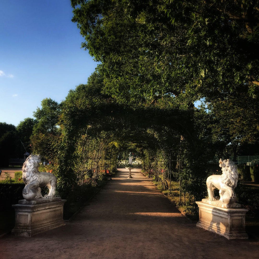 placeholder image-sq